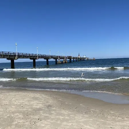 아파트 Marin, 07 치노비츠