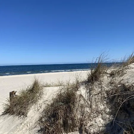 Marin, 07 * 치노비츠